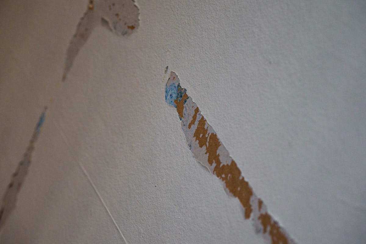 Mold Remediation service in Broken Arrow, OK